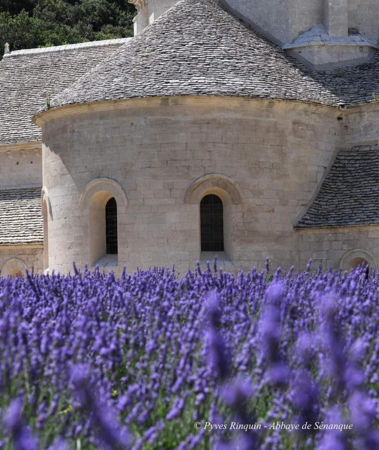 Entre Ventoux Et Luberon Chambre D'Hote Со-де-Воклюз Экстерьер фото