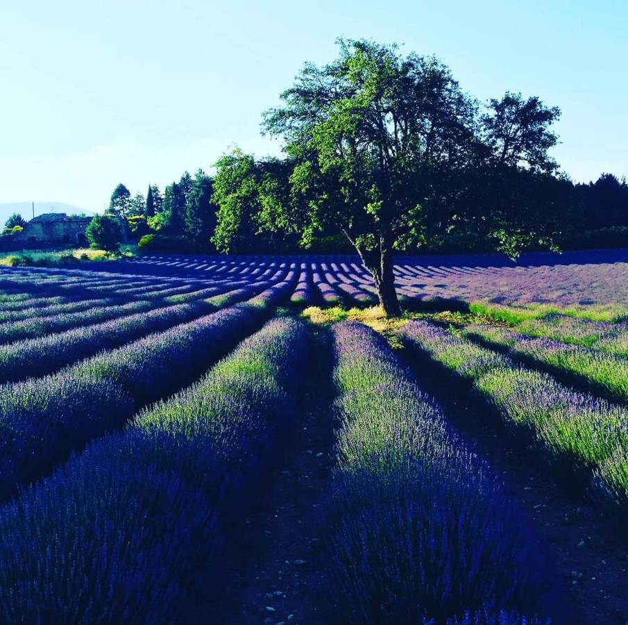 Entre Ventoux Et Luberon Chambre D'Hote Со-де-Воклюз Экстерьер фото