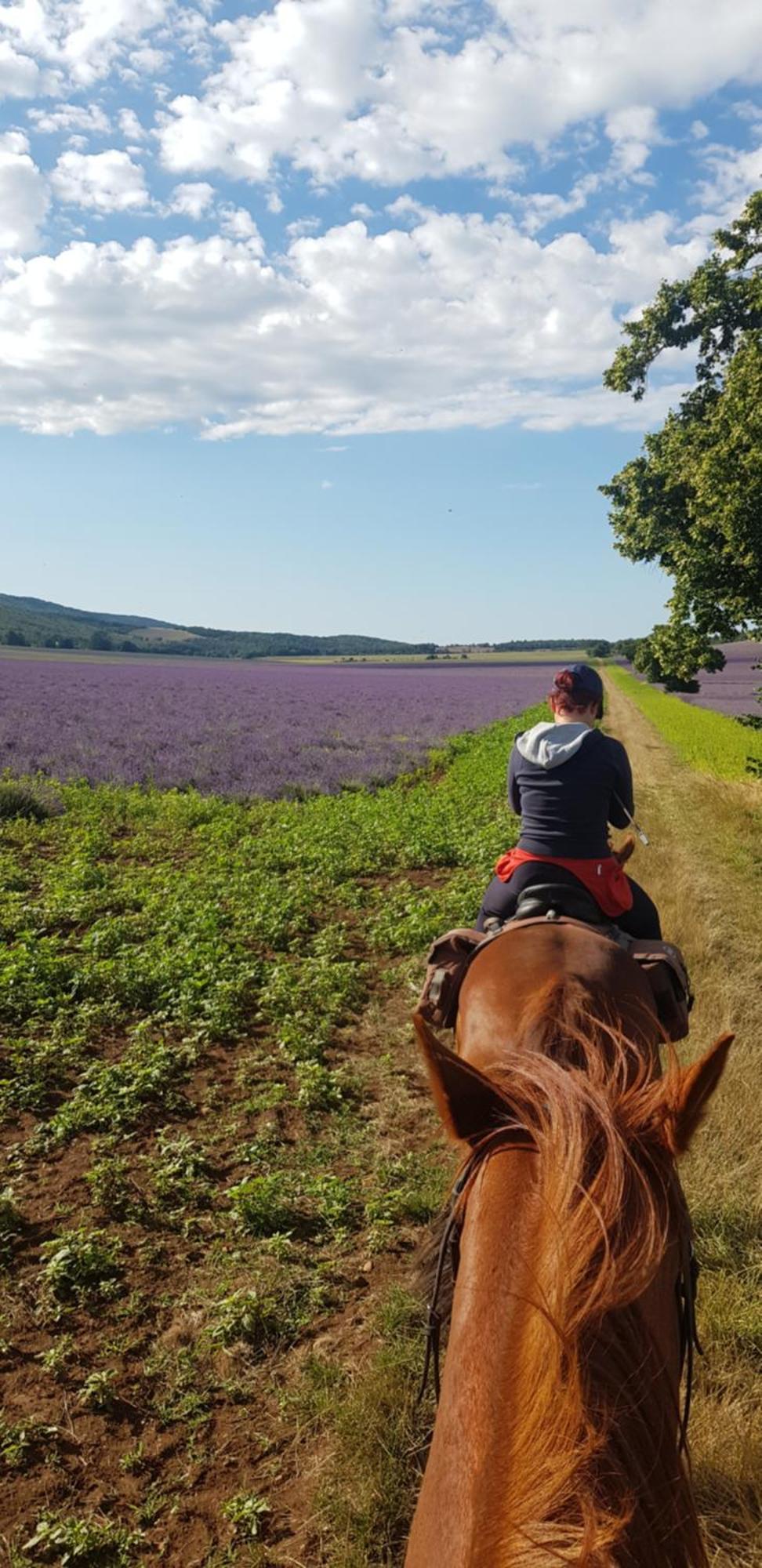 Entre Ventoux Et Luberon Chambre D'Hote Со-де-Воклюз Экстерьер фото