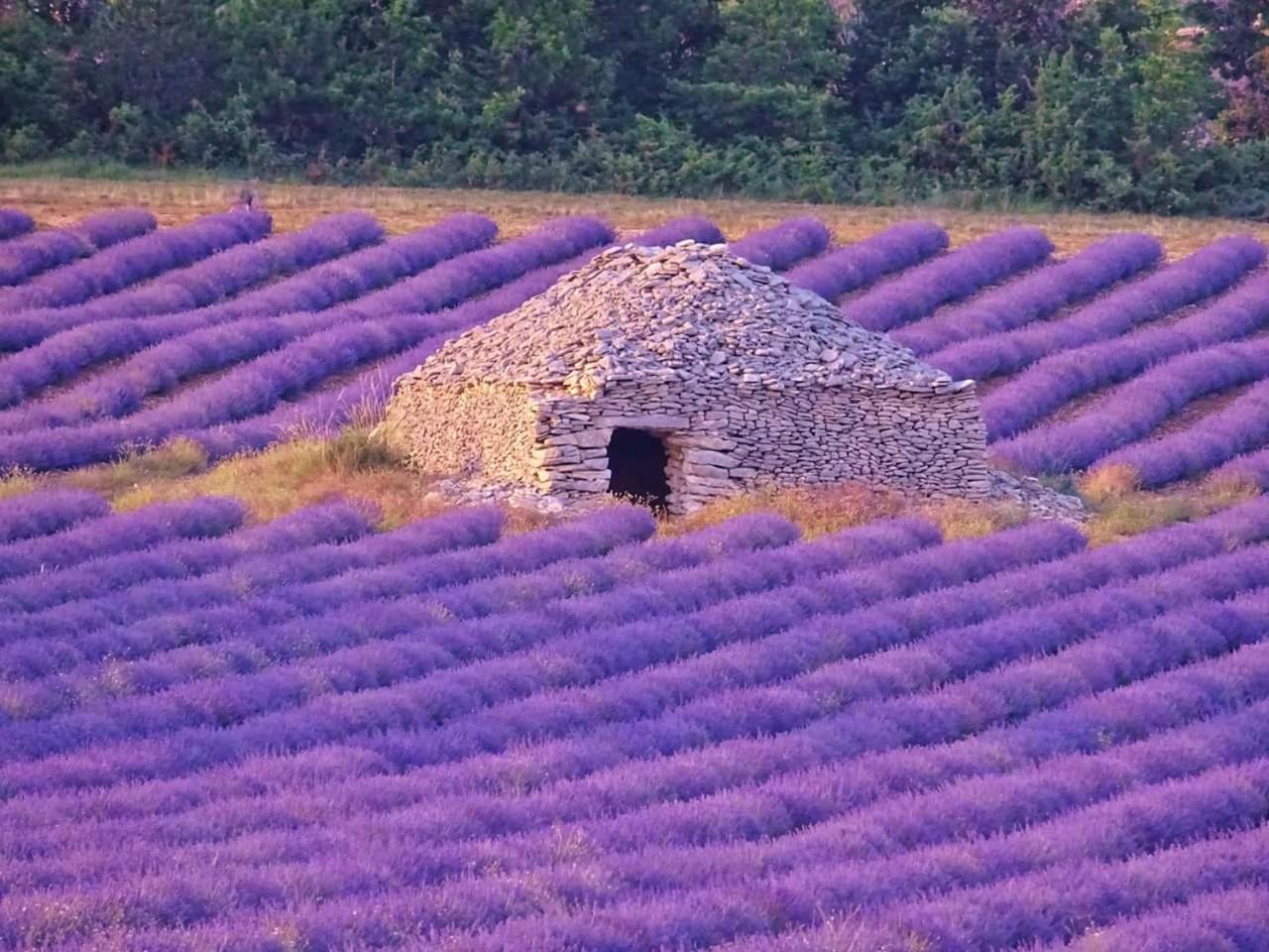 Entre Ventoux Et Luberon Chambre D'Hote Со-де-Воклюз Экстерьер фото